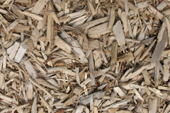 biomass boilers Marian Glas